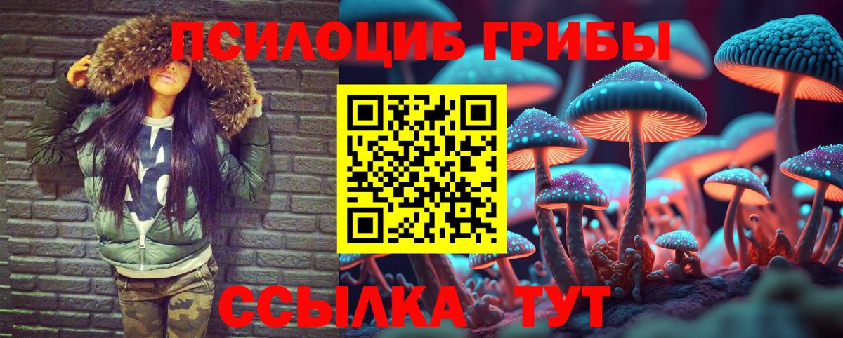где купить наркоту  Псилоцибиновые грибы мицелий  Вход с VPN  Урай 